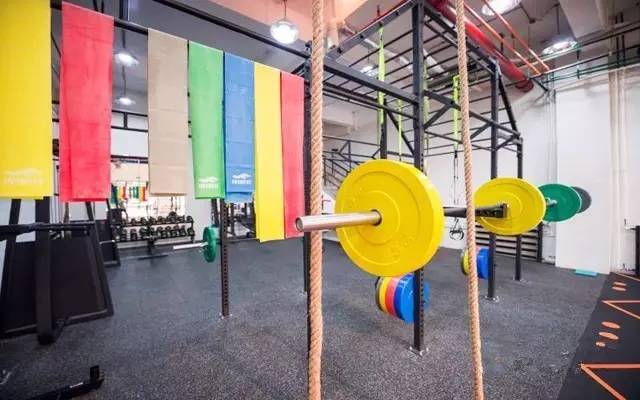 器械最多最全的健身房,健身设备最全的健身房