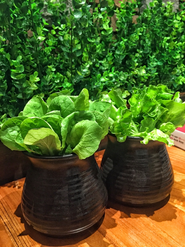 石锅鱼里面什么重要,石锅鱼的根源