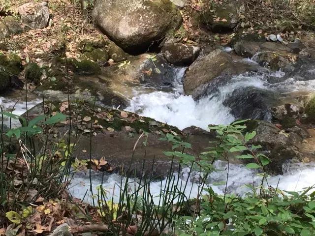 娼烘胶婧按缇庢櫙,娼烘胶娴佹按楦熻鑺遍灞辨竻姘寸