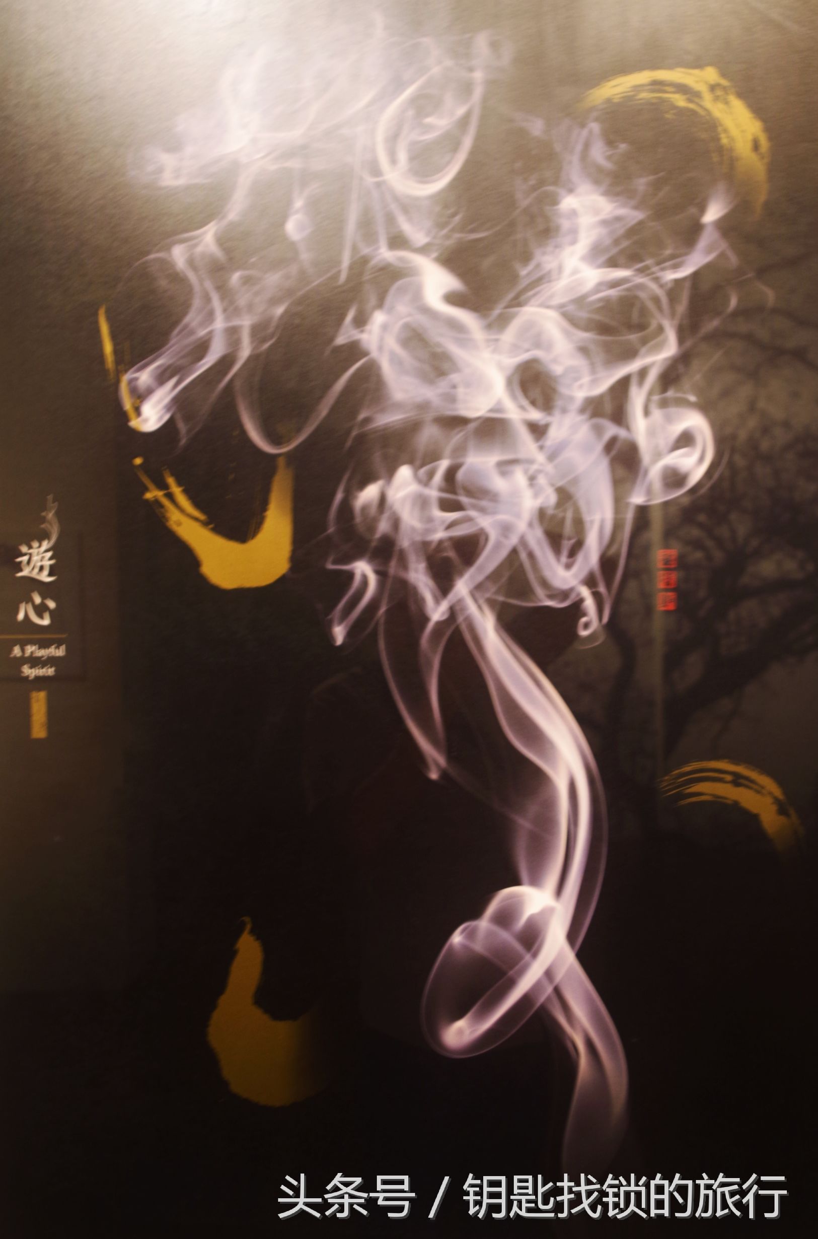 来苏州不去拙政园可以去哪里,去苏州不去景点可以到什么地方耍