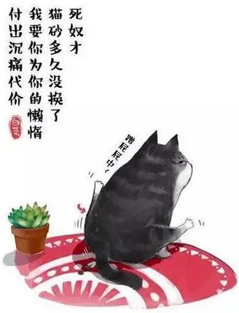 原创|“吾皇”老爸白茶来蓉破解婆媳千古难题