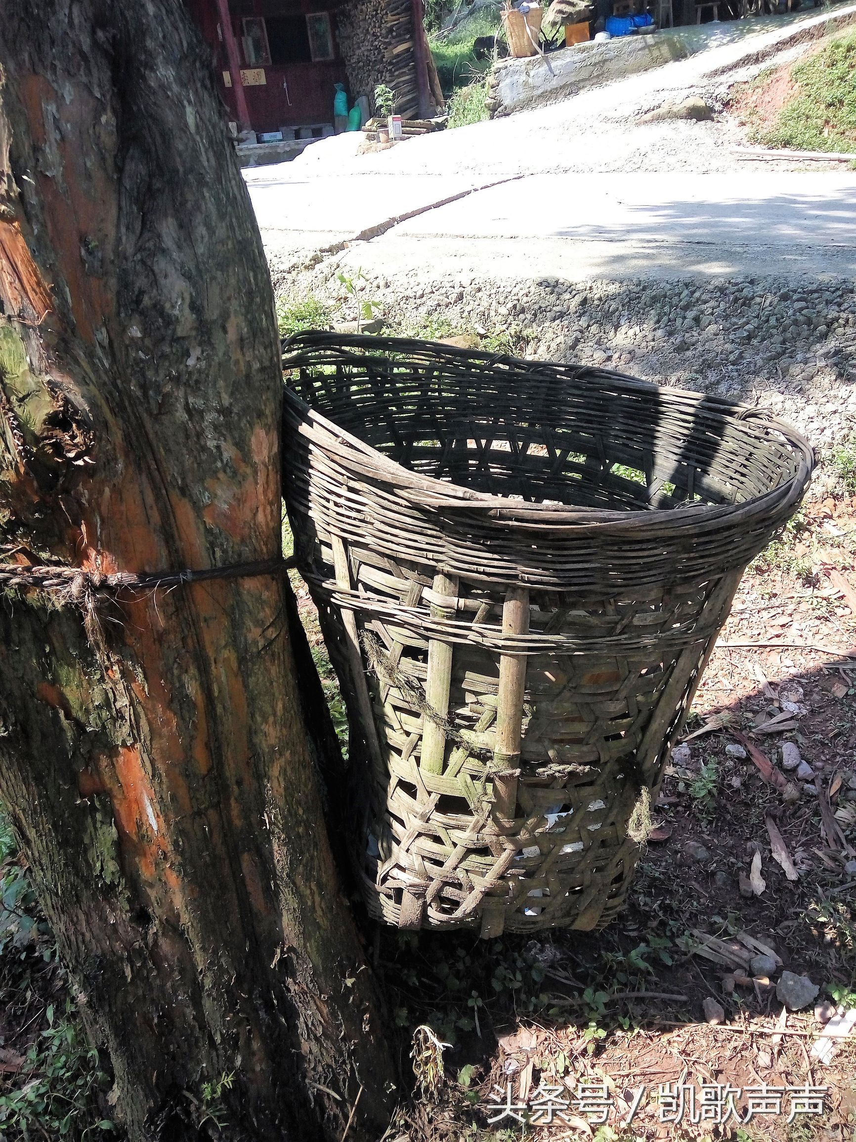 母亲祭文怎么写,母亲与16岁儿子关系不好怎么办