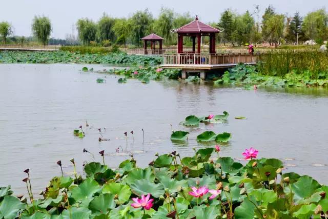 羊亭附近景点攻略,羊亭有什么玩的地方