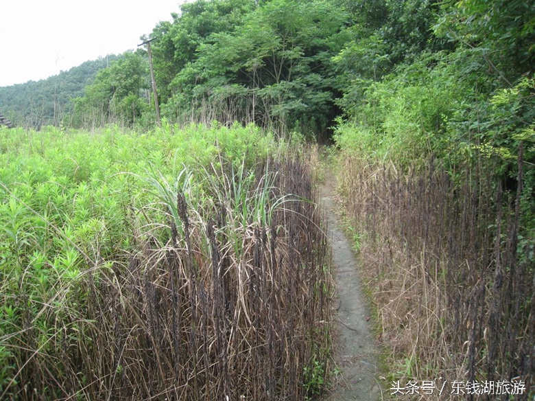 东钱湖旅游攻略徒步路线图,东钱湖古道徒步