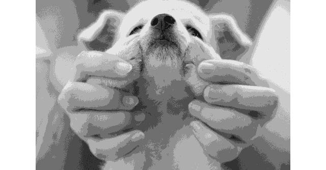 有什么事不是一根烟能解决的,什么事有一根烟解决不了的