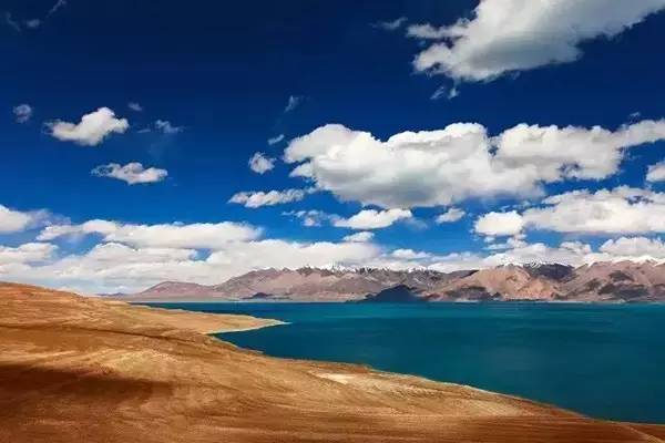 不需要知道你离世的理由，只愿你在天堂能重展笑容！