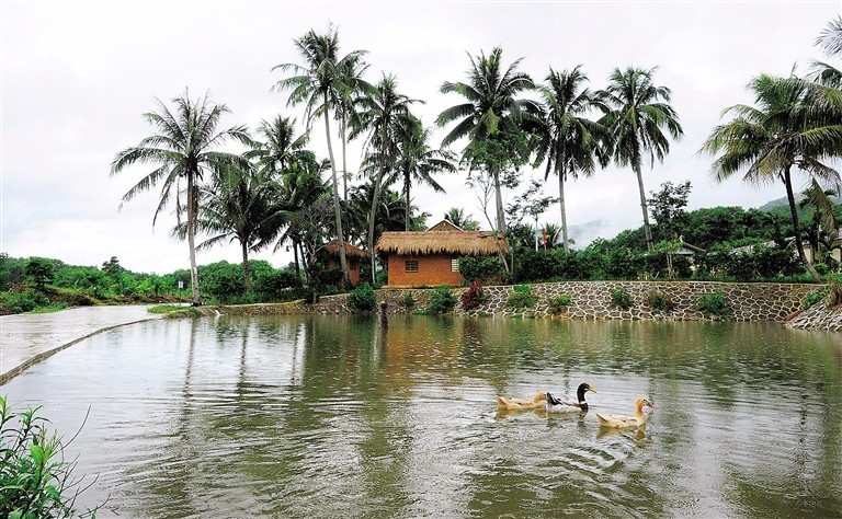 回到老家得了抑郁症,得了抑郁症就像是沉到了湖底