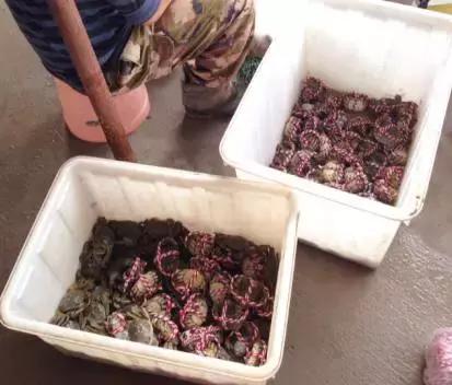 成都附近的旅游景点推荐四姑娘山,距成都五个多小时的地方