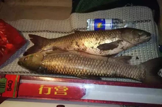 閽撻奔娓旇幏鎴樻姤,閽撻奔浜虹鎭╃埍