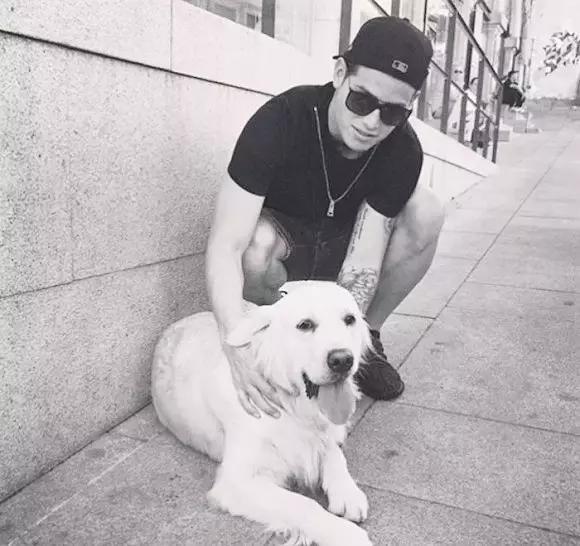 梅西狗狗,c罗和梅西家的顶级恶犬