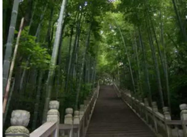 九江好玩的地方免费,九江市好玩的地方