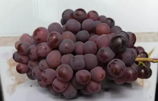 金沙湾黄河坛景区,金沙湾黄河坛景区怎么样