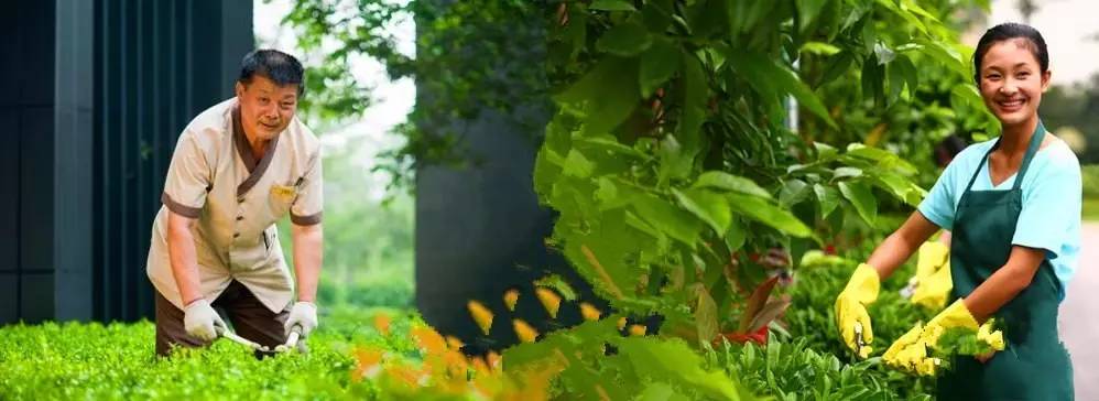 南京国庆假期有哪些免费景点推荐,国庆期间南京有哪些景点免费