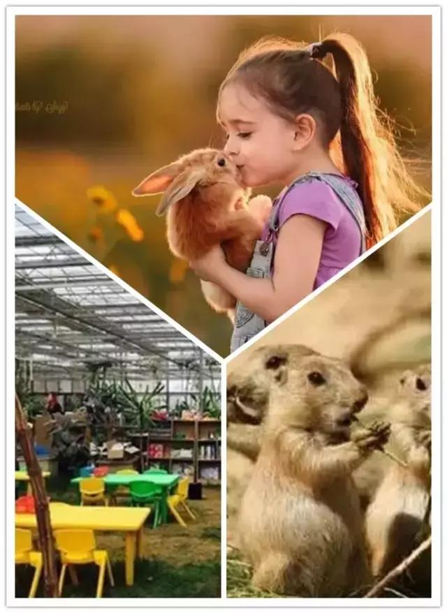 天津亲子国庆,六一天津亲子游