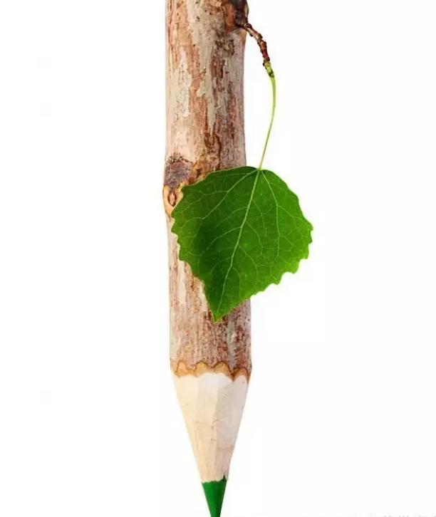 翁应龙成交5大核心按钮,永康市湖西村翁应龙