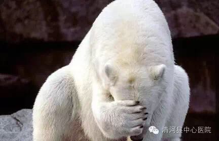 一个巨响的喷嚏过后，他被切下了小肠