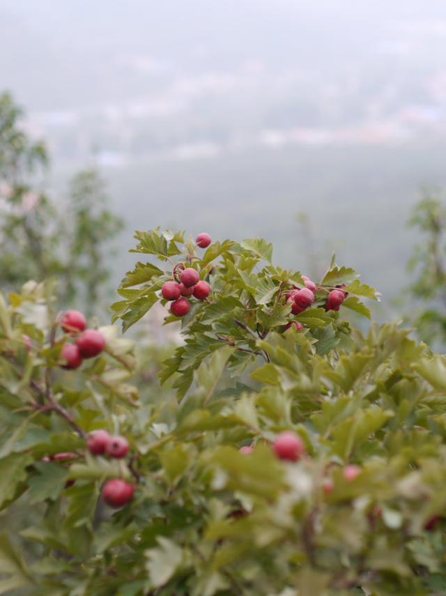 非专业人士适合的微单,非职业拍照拍人照相机推荐