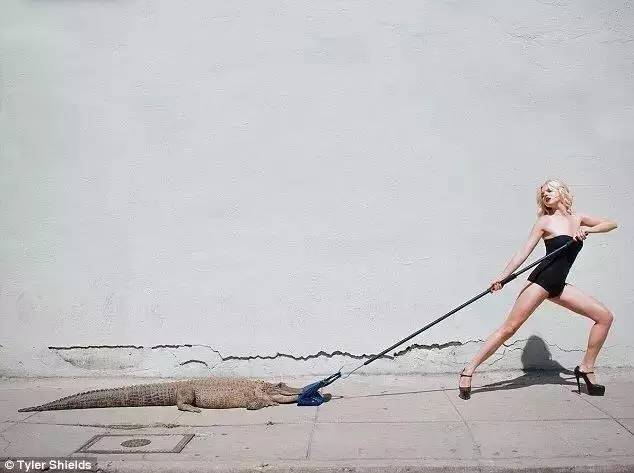 马具奢侈品牌,马具店品牌