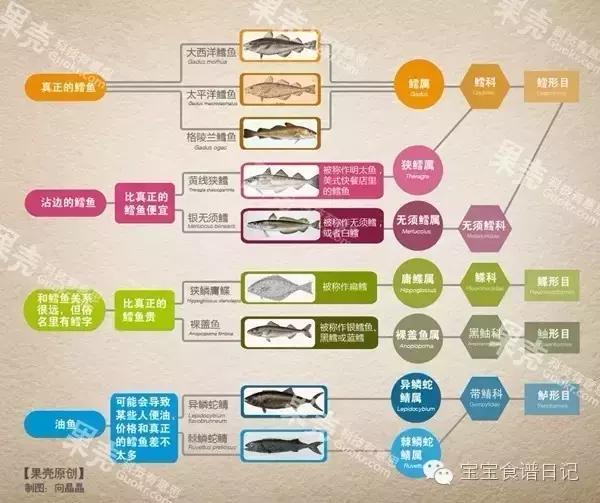 如何辨别真假鳕鱼的方法,鳕鱼如何分辨是不是油鱼