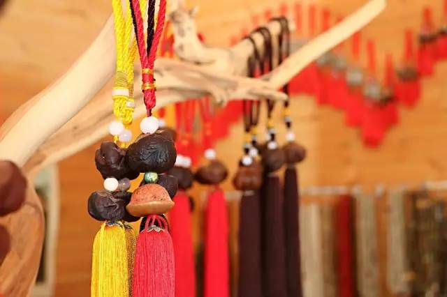 千年神树开花结果,千年神树