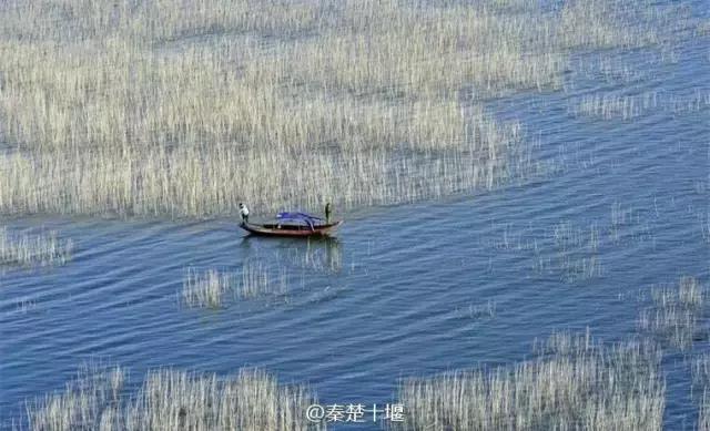 十堰新增公园,十堰国家森林公园图片