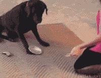 GIF|马拉松不行，那试试当足球员