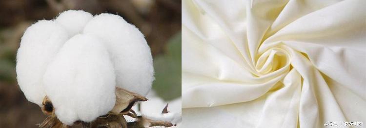 涤棉和纯棉工作服哪种好,纯棉工作服定做多少钱