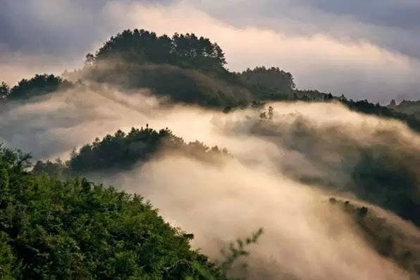 重庆免费景点一览表大全,重庆免费景点合集