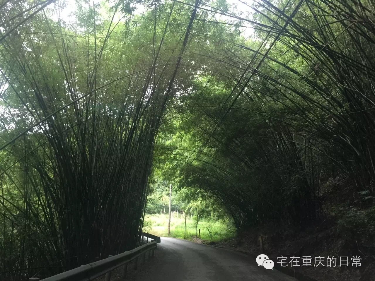 山谷飞来金凤凰,綦江横山凤凰谷怎么去