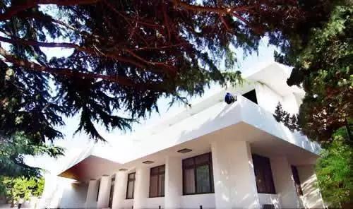 秋天来了我和爷爷奶奶逛公园,秋天八大关