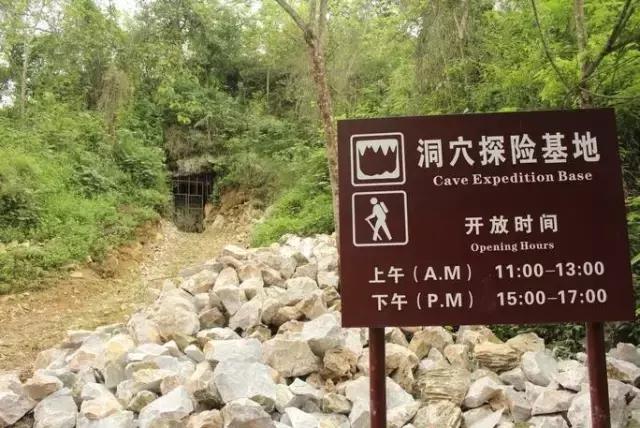 城市套路深我要回农村视频,城市套路深我要回农村dj