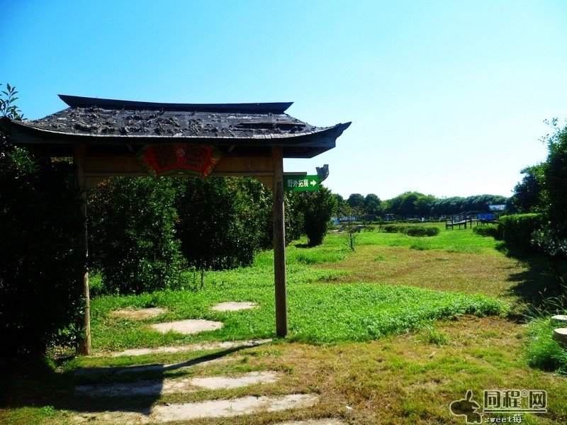 国庆狗狗出去浪,国庆带狗狗适合去哪玩