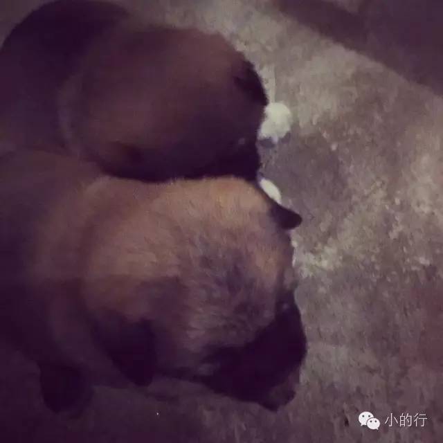 莫干山怎样找民宿,夏天莫干山性价比民宿推荐