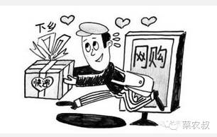 菜农怎么做电商赚钱快,做农业电商需要什么流程