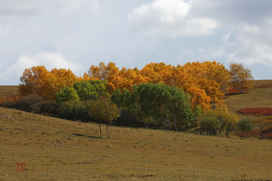 坝上草原雪景航拍,坝上草原秋景美图