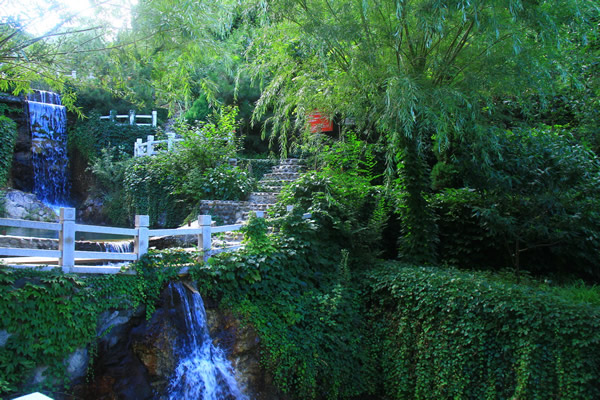 国庆狗狗出去浪,国庆带狗狗适合去哪玩