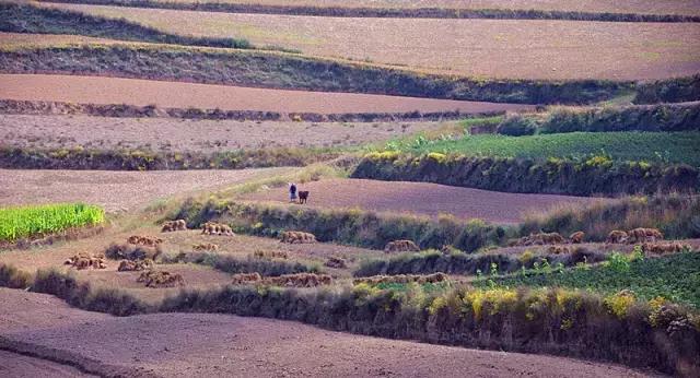 山沟沟里的风景最美,西北山沟沟景区