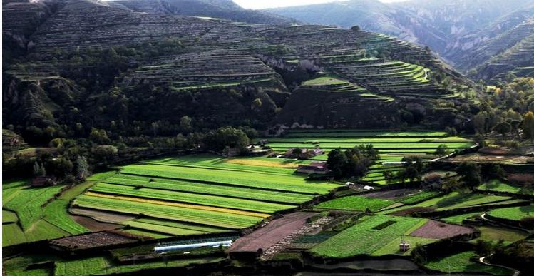 山沟沟里的风景最美,西北山沟沟景区