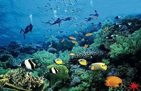 伯利兹旅游视频,伯利兹攻略