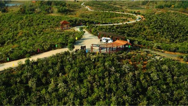 大别山中大金寨，这23个乡镇貌美如花，十一你不来？