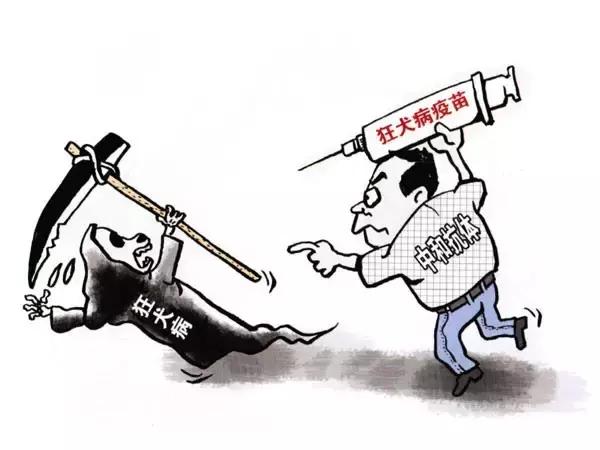 被汪星人咬伤不可小觑，如何自救学起来！