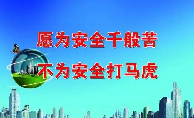 猫粮进口与国产成本对比,国产猫粮厂分析