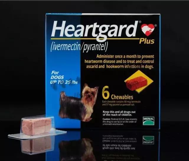 焦虫病死亡周期,焦虫病早期