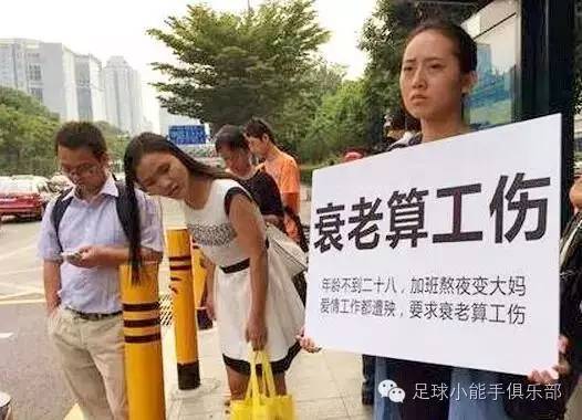 郁金香vs德国,郁金香战争