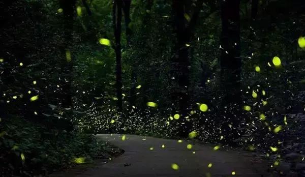 杭州各区工资水平排名,杭州各职位平均工资