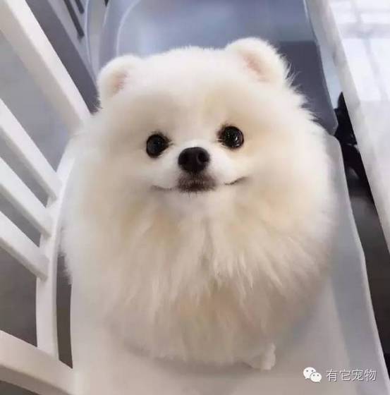 明明可以靠脸吃饭偏偏要靠球技,明明可以靠脸吃饭却偏偏要靠实力