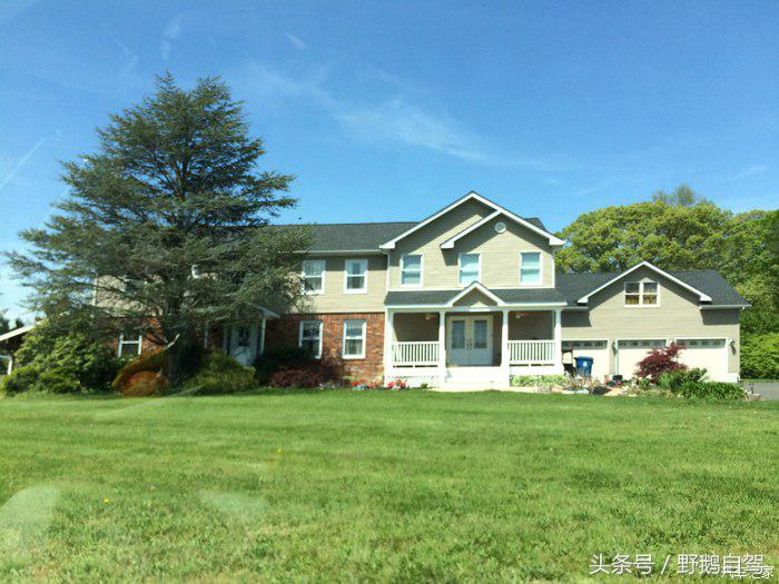 野鹅旅行,野鹅自驾无人区