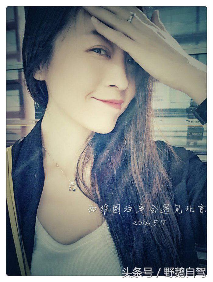 野鹅旅行,野鹅自驾无人区