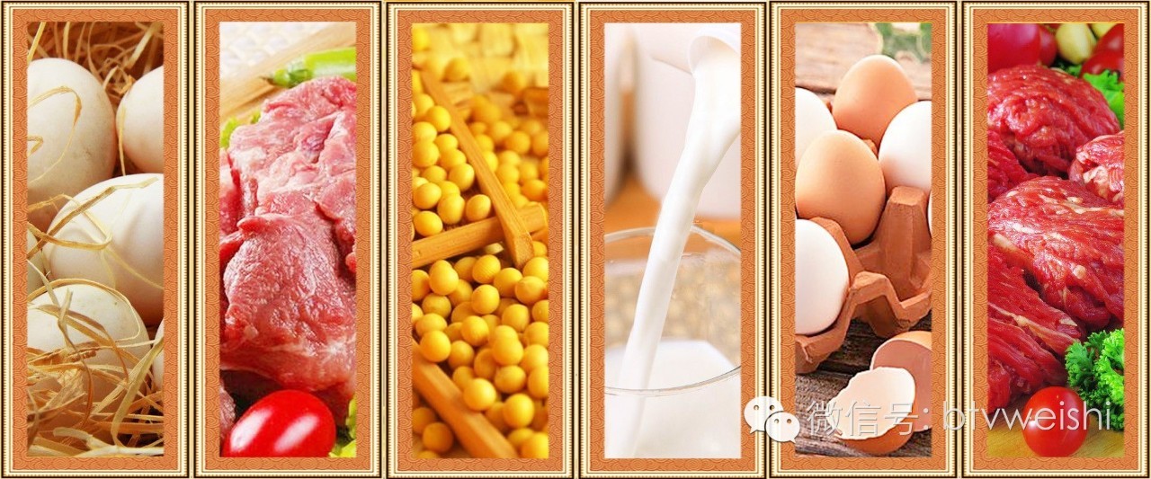 养生堂今日17:25播出《健康长寿营养先行》