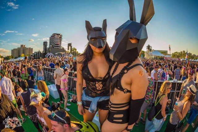 ElectricZooiscomingtoShanghai!|纽约“电子动物园”空降上海，开园派对倒计时！